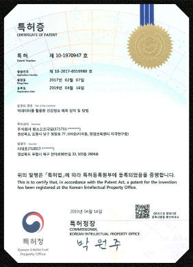 ONESOFTDIGM, Certification, Certificate of Patent